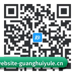 系统版 iOS 二维码